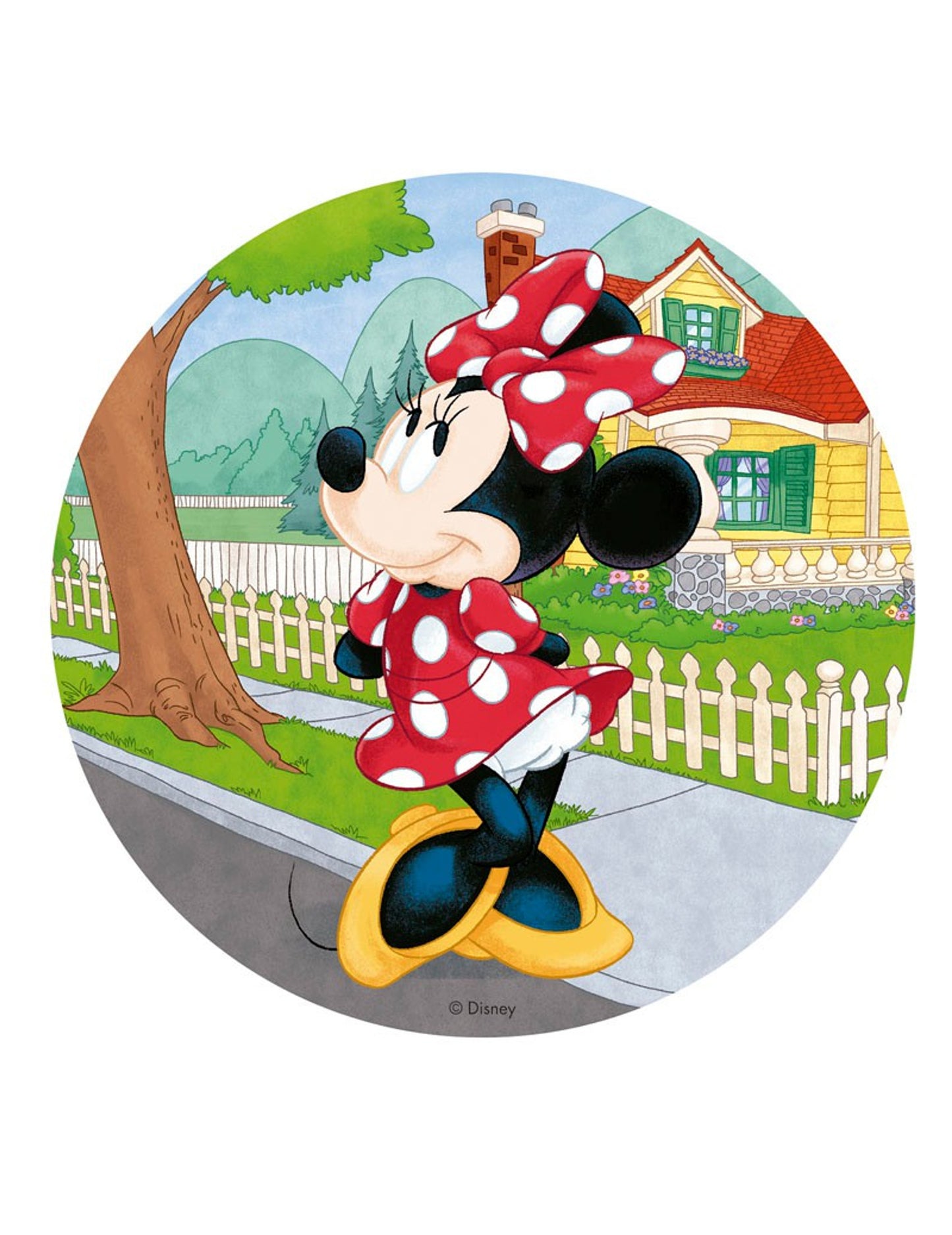 Minnie 20 cm Azyme Disc