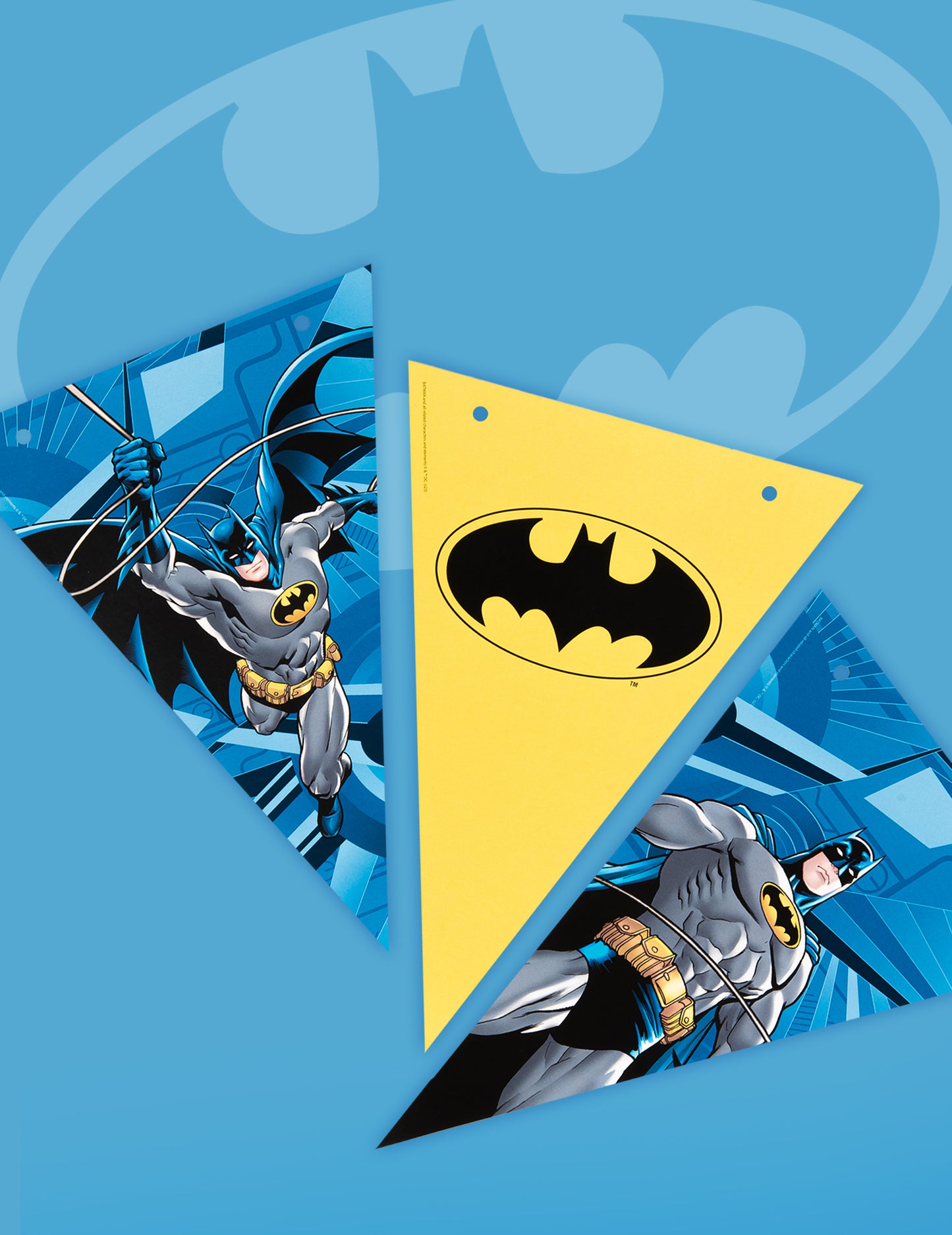 Batman 2M Pennant Garland